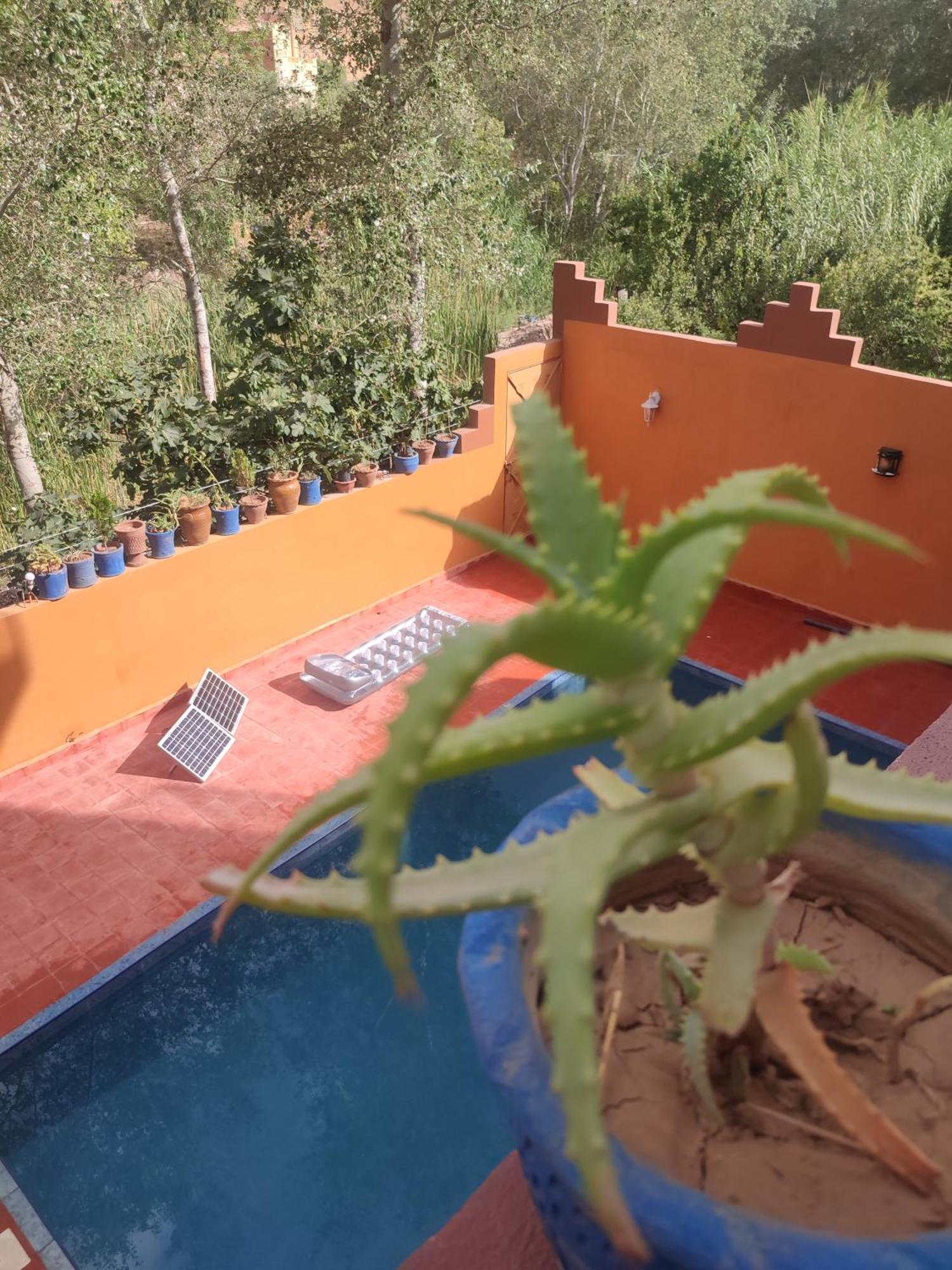 Auberge De La Riviere Du Dades Boumalne Buitenkant foto